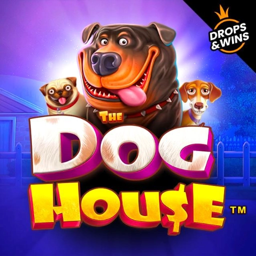 Poikes-Net-The-Dog-House